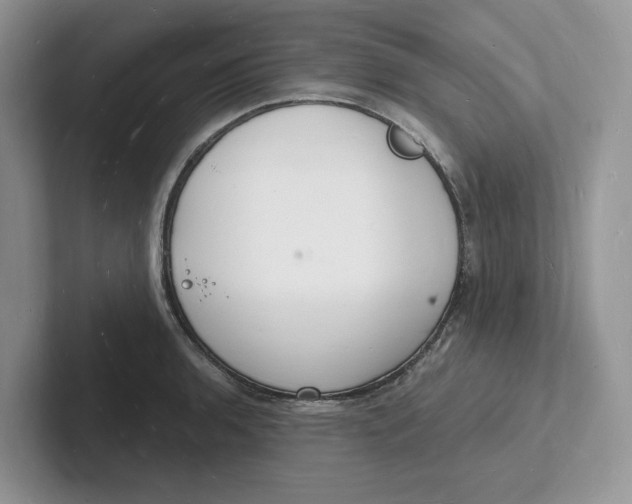 X0000101691136200807311406