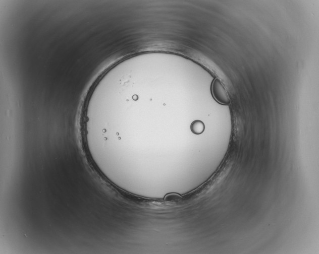 X0000101691138200807311406