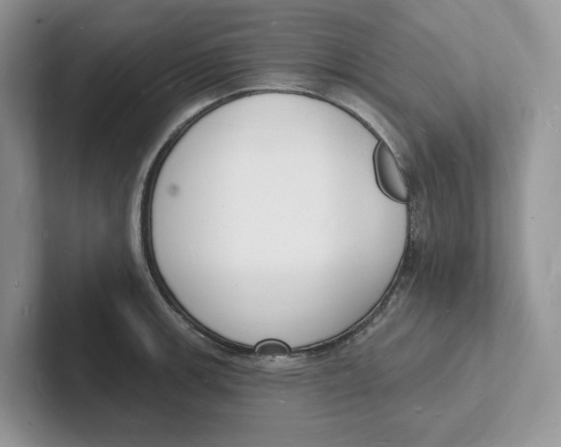 X0000101691139200807311407