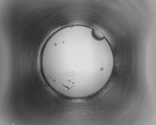 X0000101691140200807311407