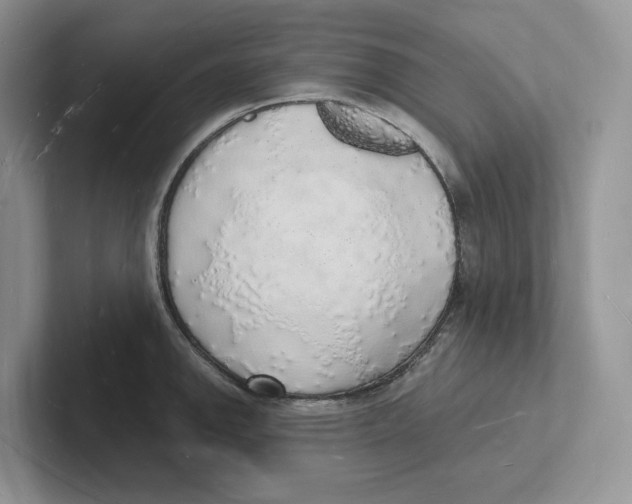 X0000101691142200807311407