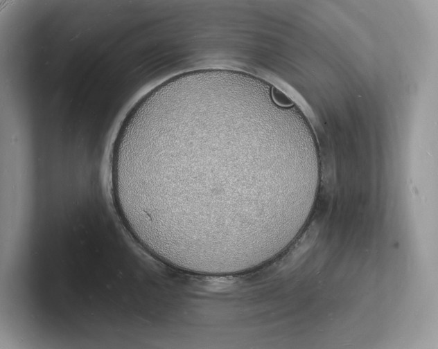 X0000101691144200807311407