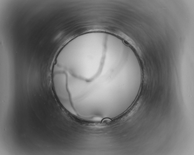 X0000101691145200807311407