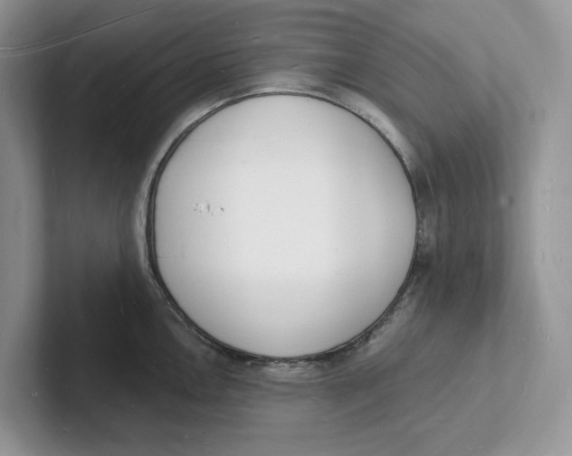 X0000101691146200807311407