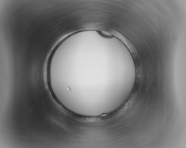 X0000101691147200807311407