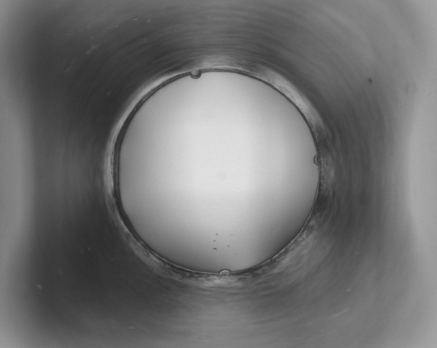 X0000101691148200807311407