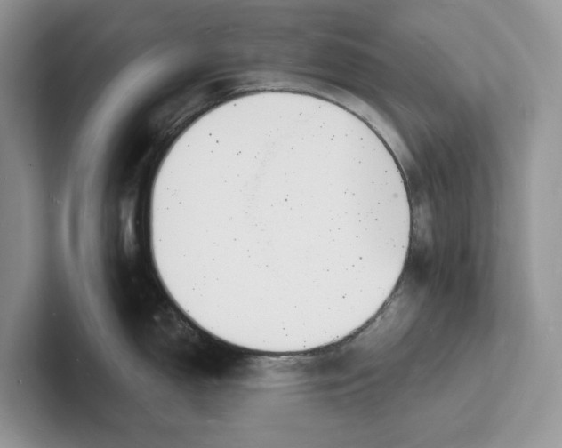 X0000101691150200807311407