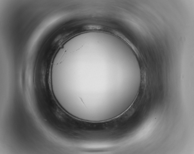 X0000101691151200807311407