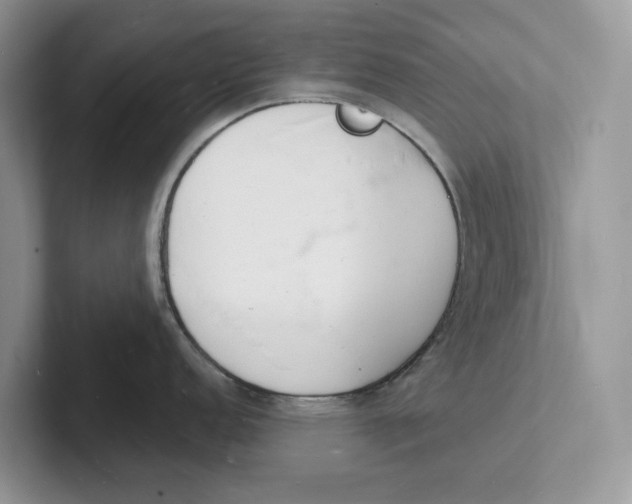 X0000101691152200807311407