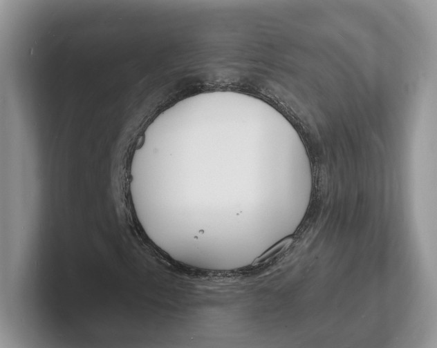 X0000101691153200807311406