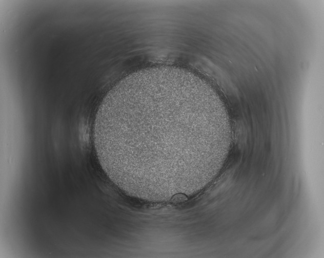 X0000101691154200807311406