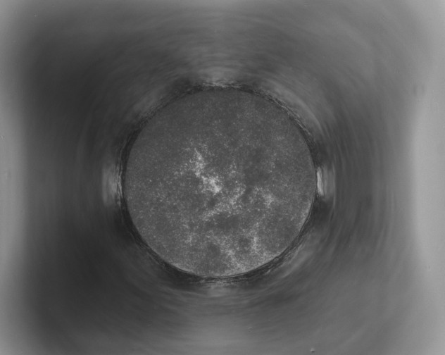 X0000101691155200807311406