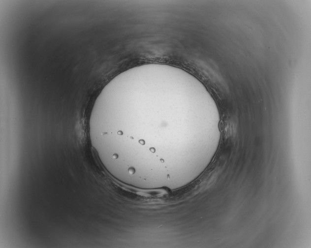 X0000101691156200807311406