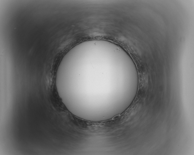 X0000101691157200807311406