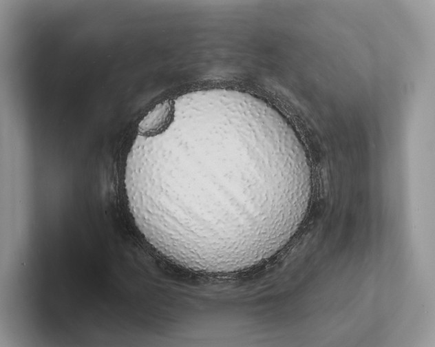 X0000101691158200807311406