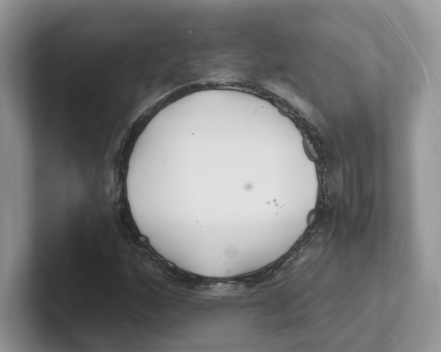 X0000101691160200807311406