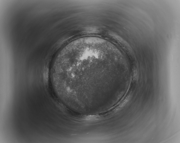 X0000101691161200807311406