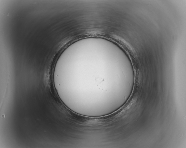 X0000101691162200807311406