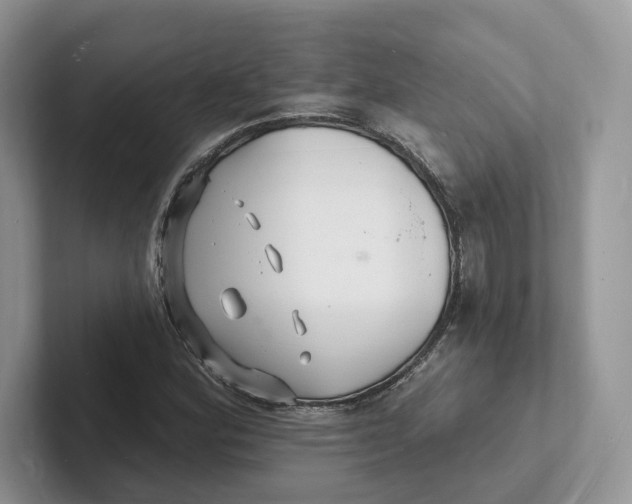 X0000101691164200807311406