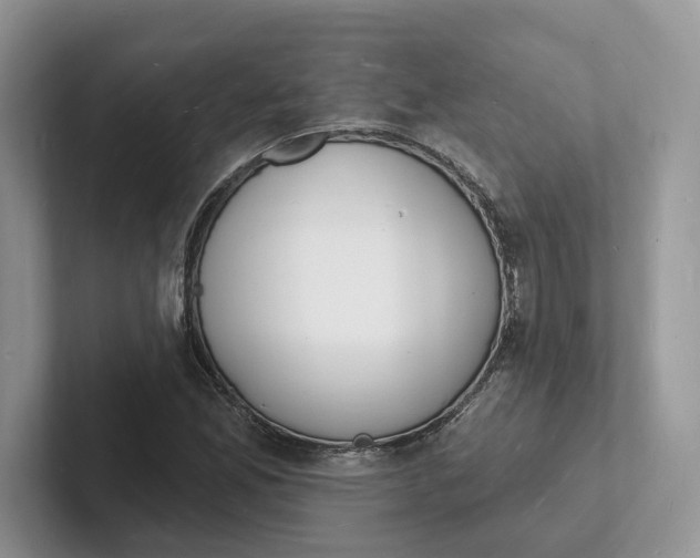 X0000101691165200807311406