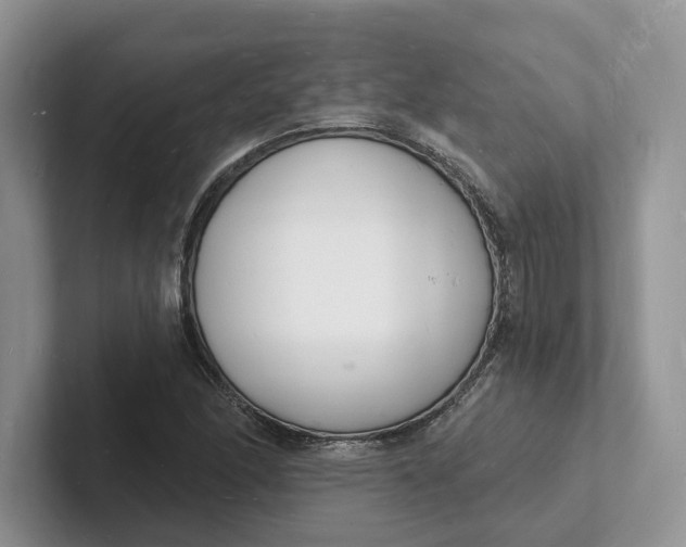 X0000101691166200807311406