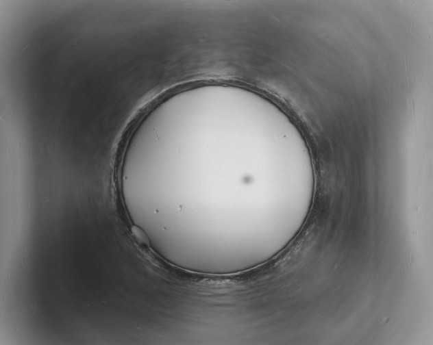 X0000101691168200807311406