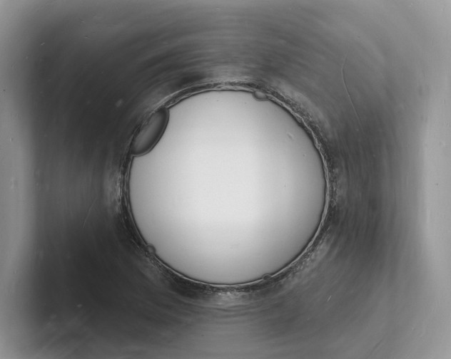 X0000101691169200807311406