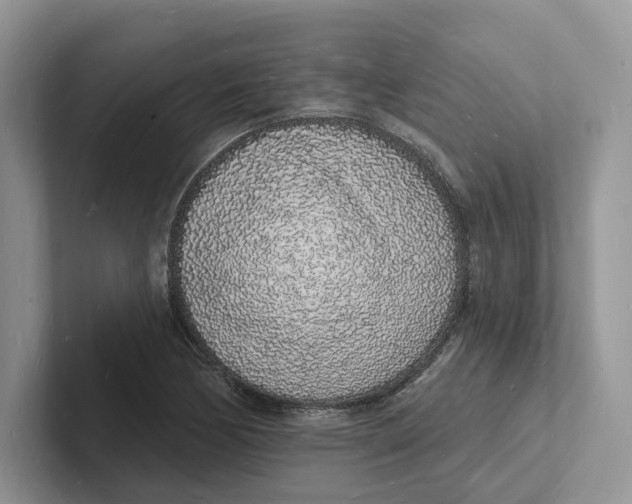 X0000101691170200807311406