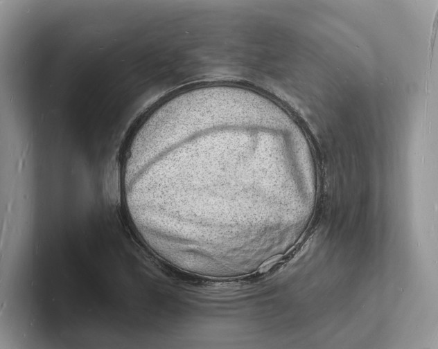 X0000101691171200807311406