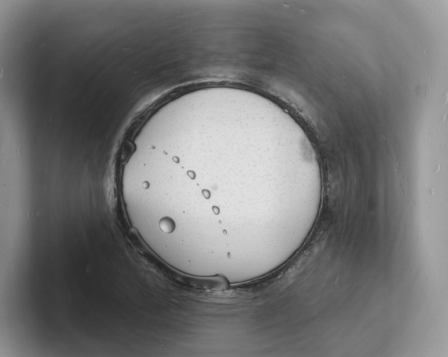 X0000101691172200807311406