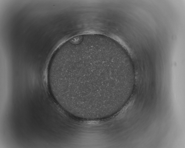 X0000101691173200807311406