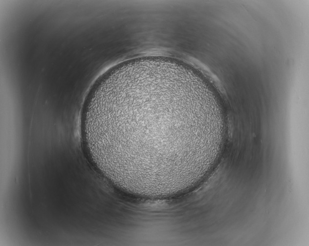 X0000101691174200807311406