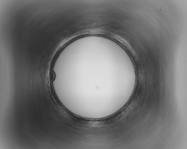 X0000101691176200807311406