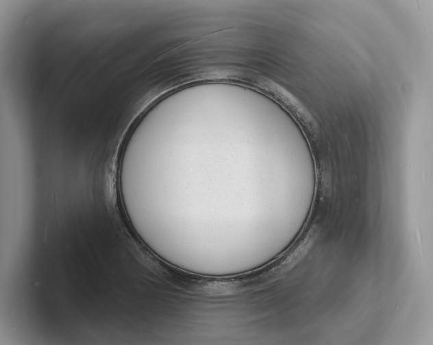 X0000101691178200807311406