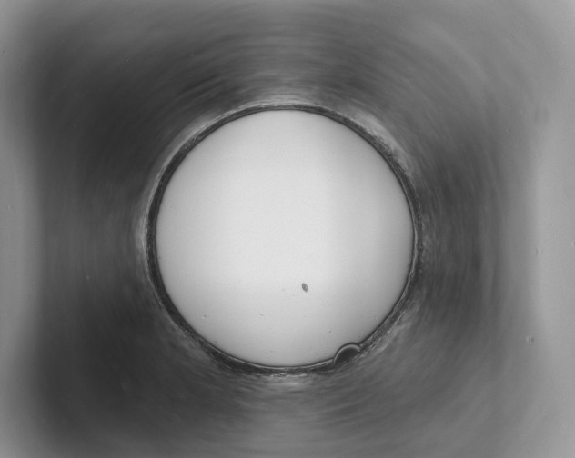 X0000101691181200807311406