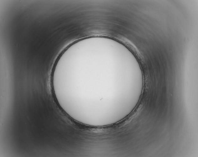 X0000101691182200807311406