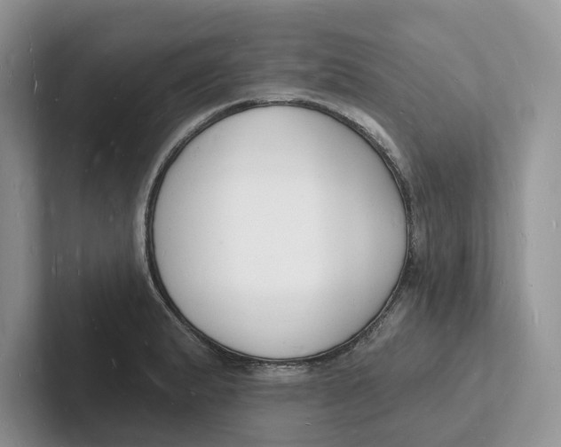 X0000101691183200807311406