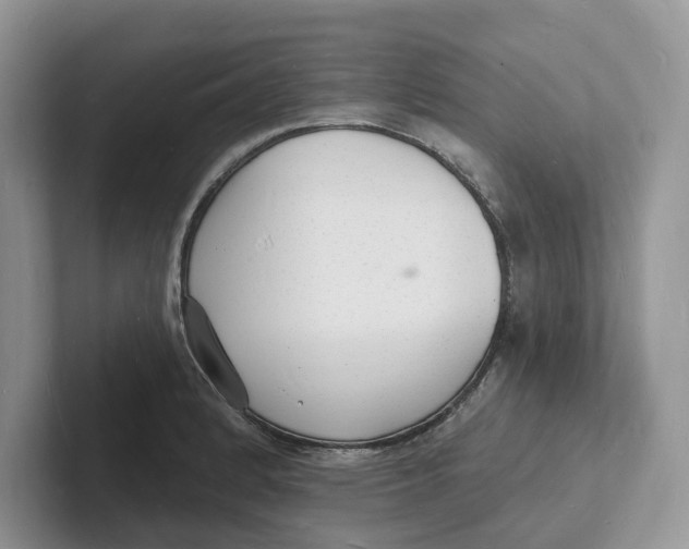 X0000101691184200807311406