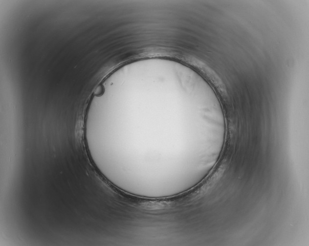 X0000101691185200807311406