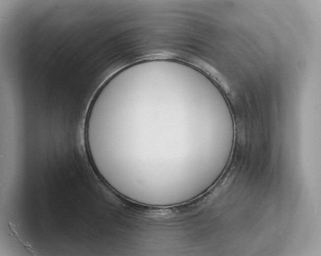 X0000101691186200807311406