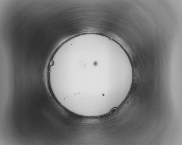 X0000101691187200807311406