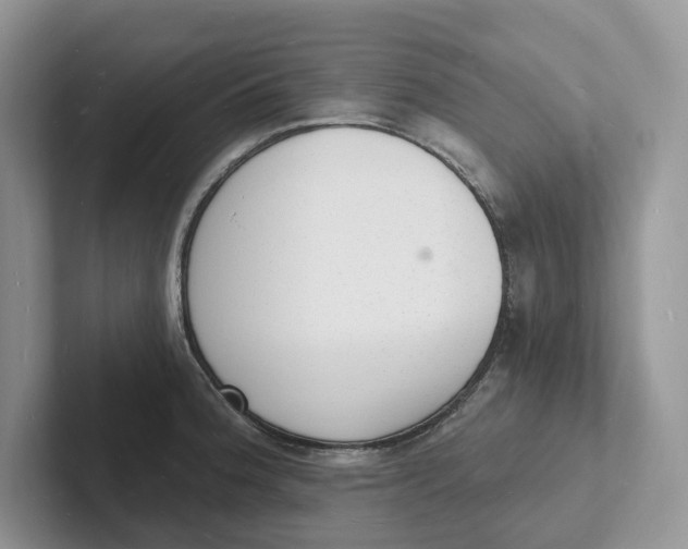 X0000101691188200807311406