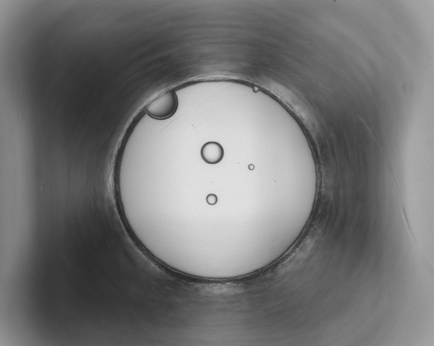 X0000101691189200807311406