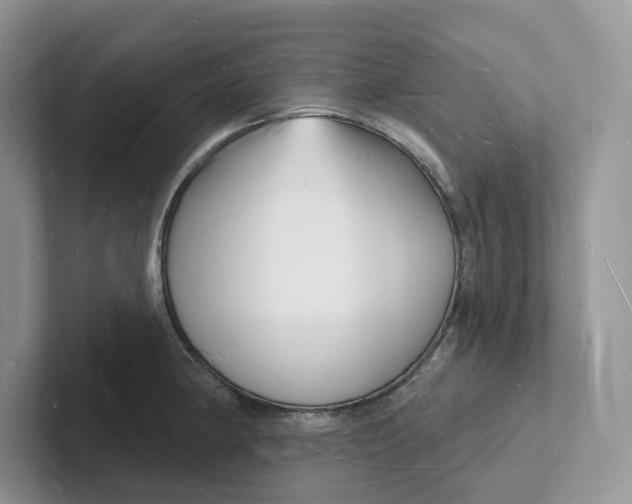 X0000101691190200807311406