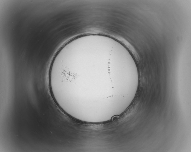 X0000101691191200807311406