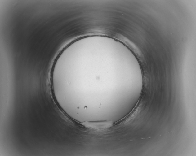 X0000101691192200807311406