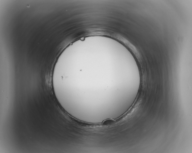 X0000101691193200807311406