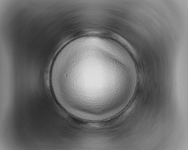 X0000101691194200807311406