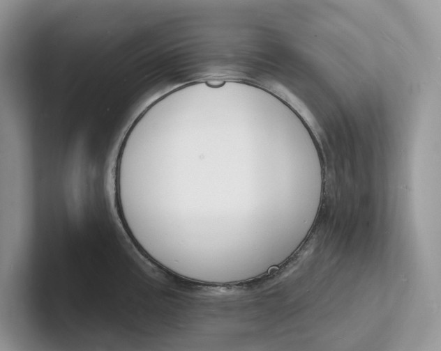 X0000101691195200807311406