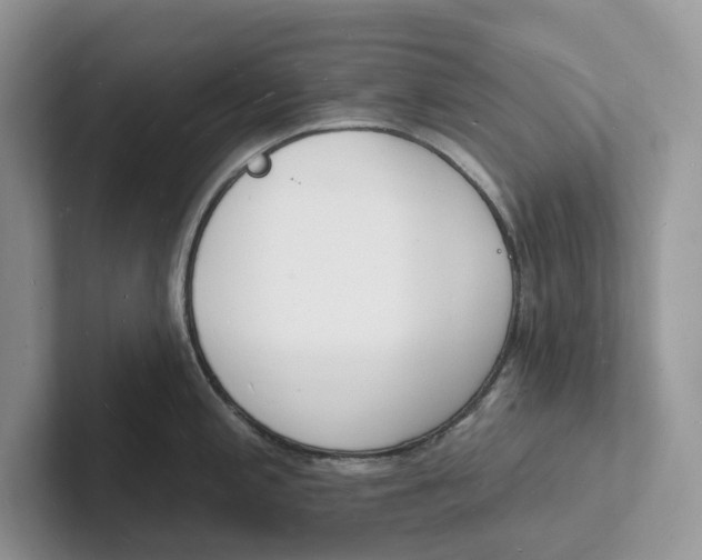 X0000101691197200807311405